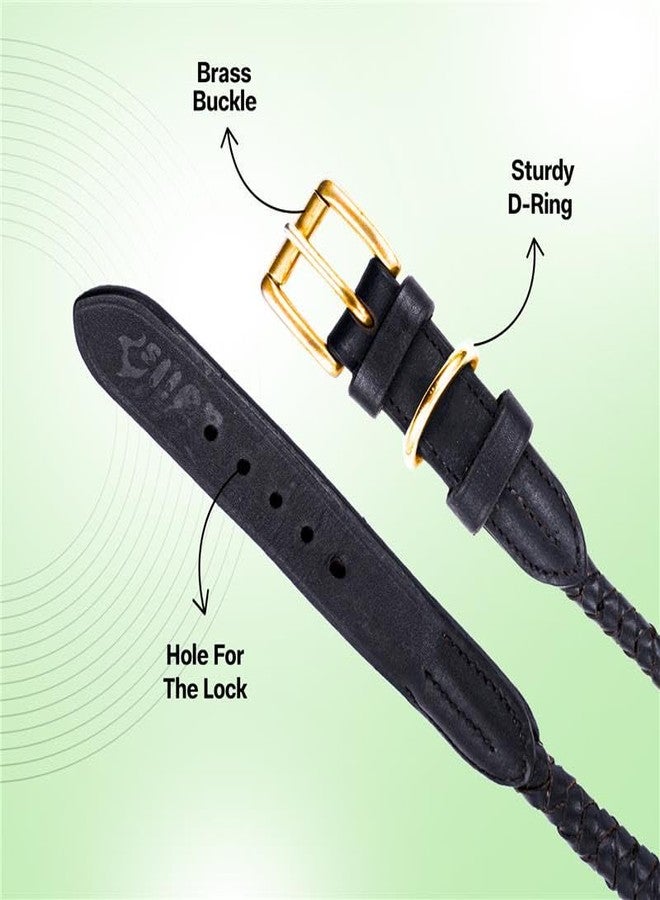 ADIL'S Braided Rolled Drum Dyed (DD) Leather Dog Collar - Strong & Stylish, Comfortable Fit with Heavy-Duty Brass Buckle and D-Ring for Leash Attachment, Ideal for Medium & Large Dogs, S,Black - Image 4